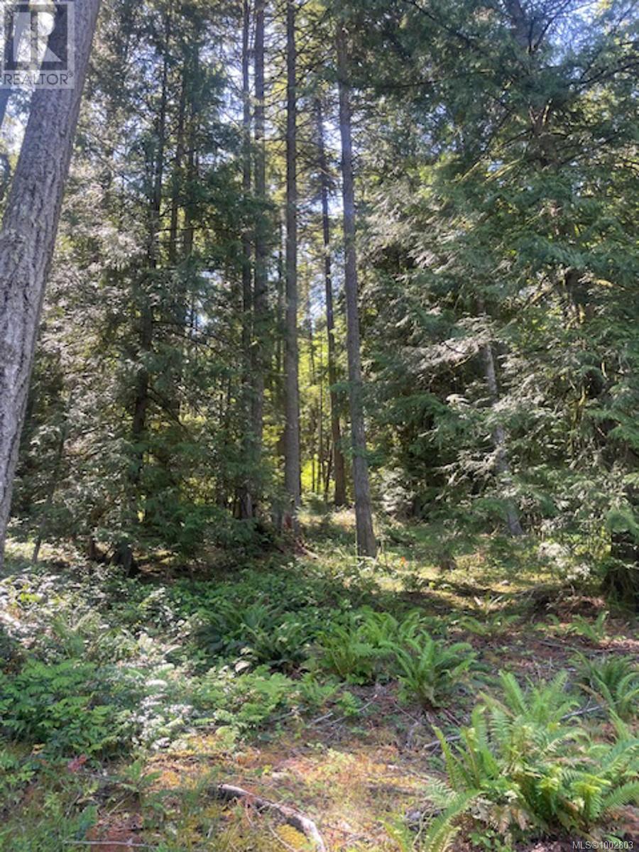 Lot 11 Thain Rd, Cobble Hill, British Columbia  V0R 1L5 - Photo 13 - 1002803
