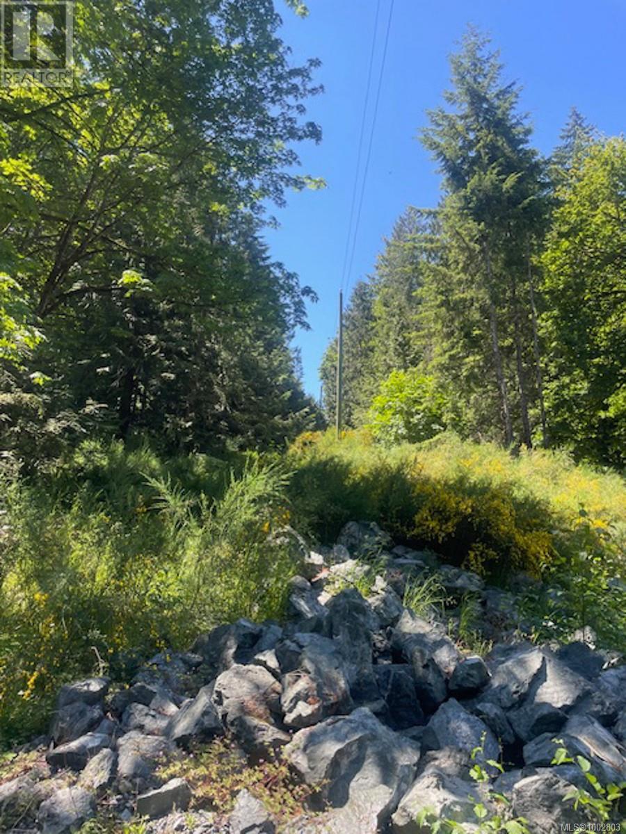 Lot 11 Thain Rd, Cobble Hill, British Columbia  V0R 1L5 - Photo 2 - 1002803