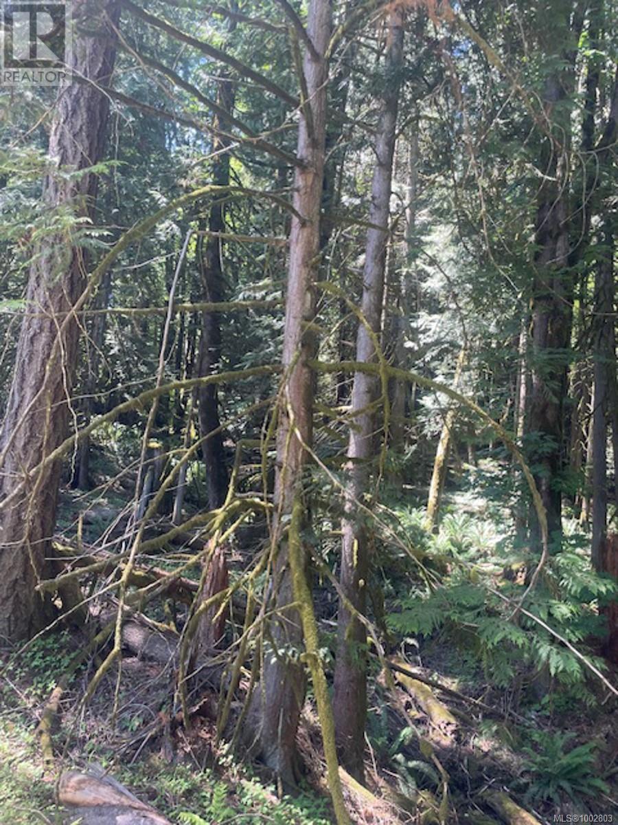 Lot 11 Thain Rd, Cobble Hill, British Columbia  V0R 1L5 - Photo 5 - 1002803