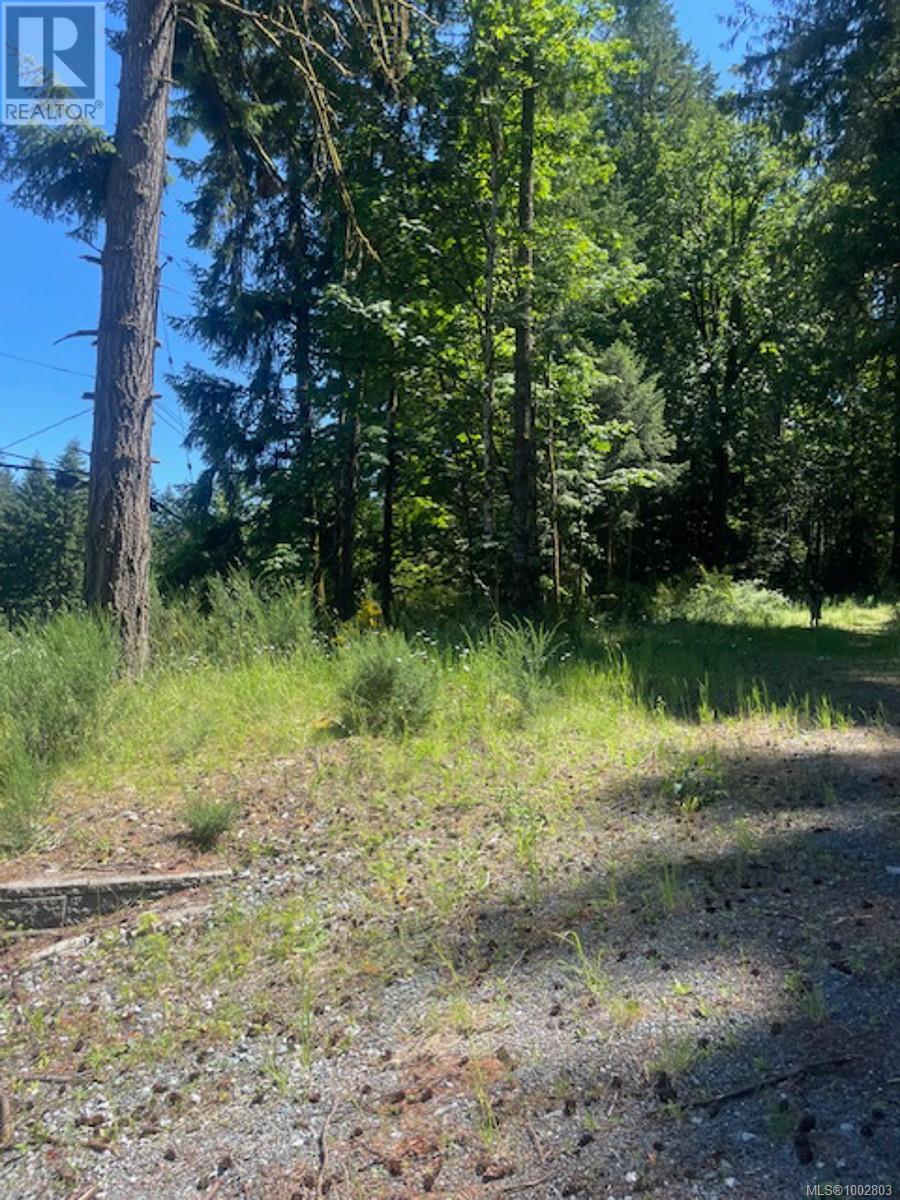 Lot 11 Thain Rd, Cobble Hill, British Columbia  V0R 1L5 - Photo 16 - 1002803