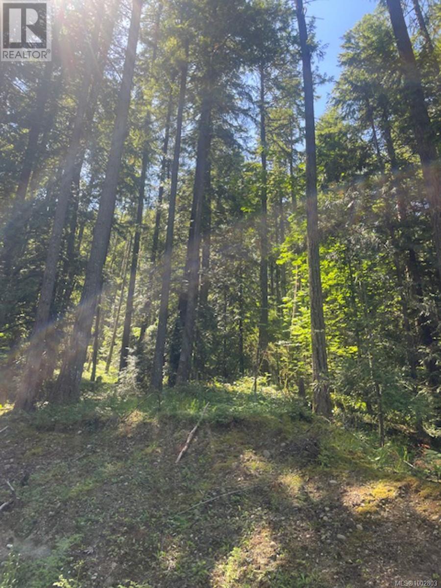 Lot 11 Thain Rd, Cobble Hill, British Columbia  V0R 1L5 - Photo 18 - 1002803