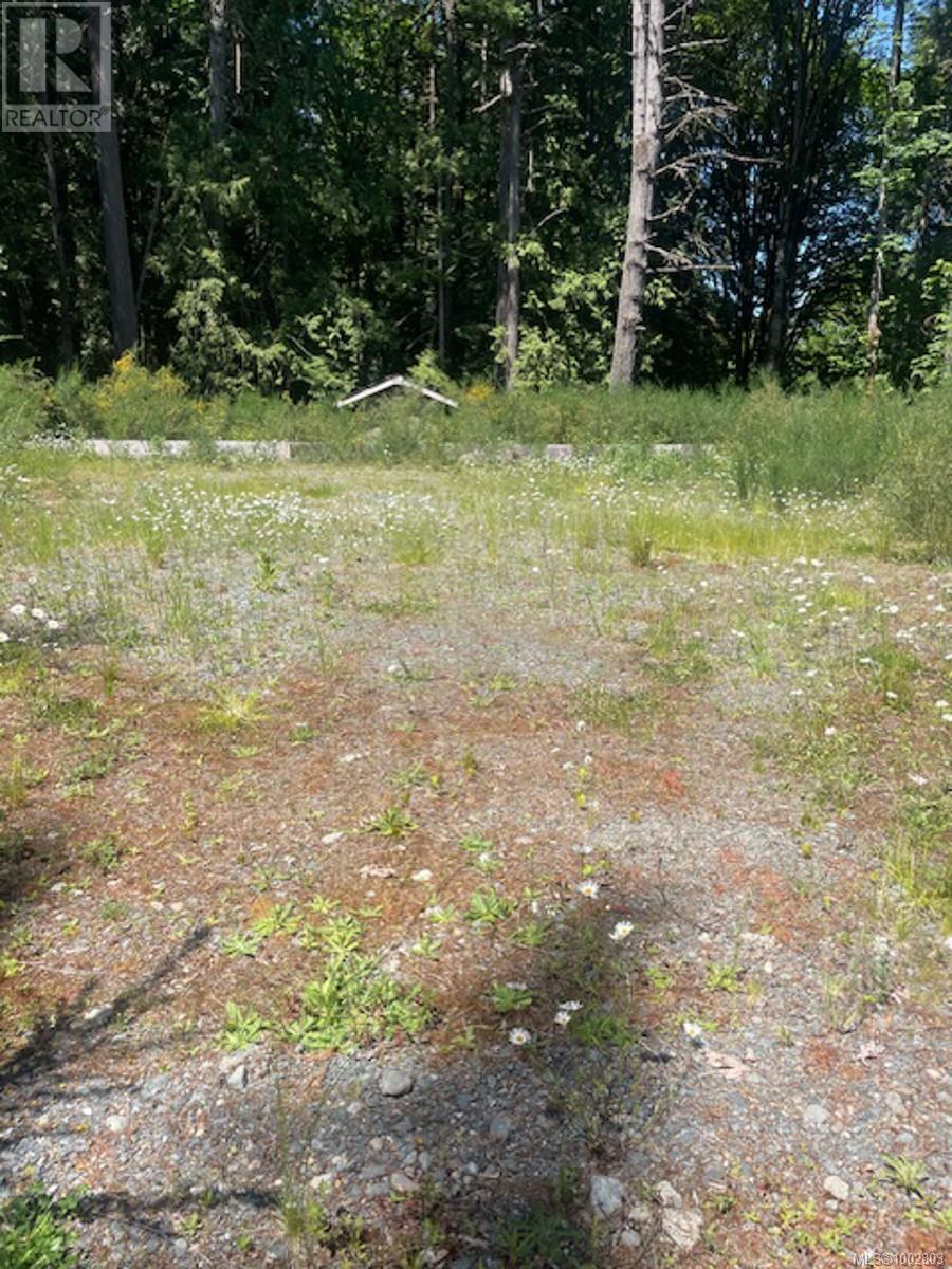 Lot 11 Thain Rd, Cobble Hill, British Columbia  V0R 1L5 - Photo 3 - 1002803