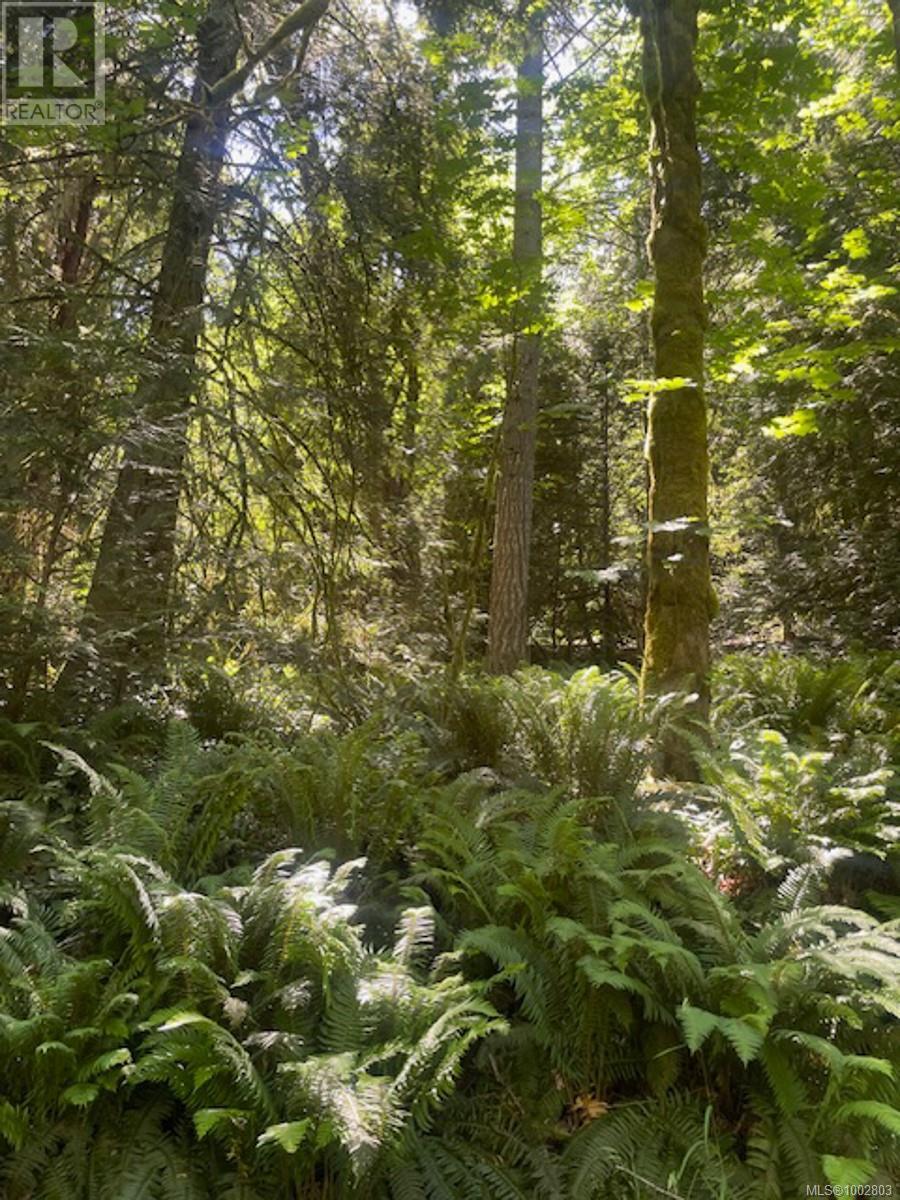 Lot 11 Thain Rd, Cobble Hill, British Columbia  V0R 1L5 - Photo 19 - 1002803