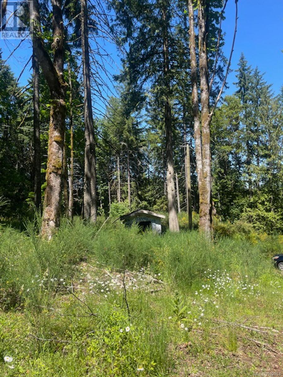 Lot 11 Thain Rd, Cobble Hill, British Columbia  V0R 1L5 - Photo 14 - 1002803