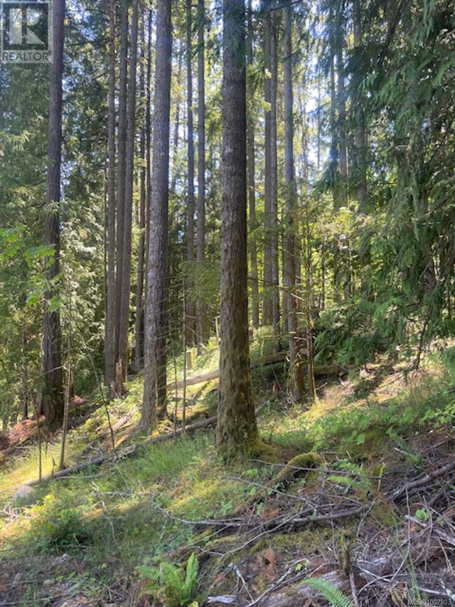 Lot 11 Thain Rd, Cobble Hill, British Columbia  V0R 1L5 - Photo 11 - 1002803