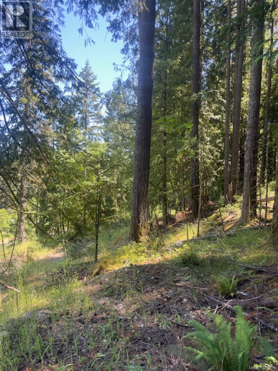 Lot 11 Thain Rd, Cobble Hill, British Columbia  V0R 1L5 - Photo 10 - 1002803