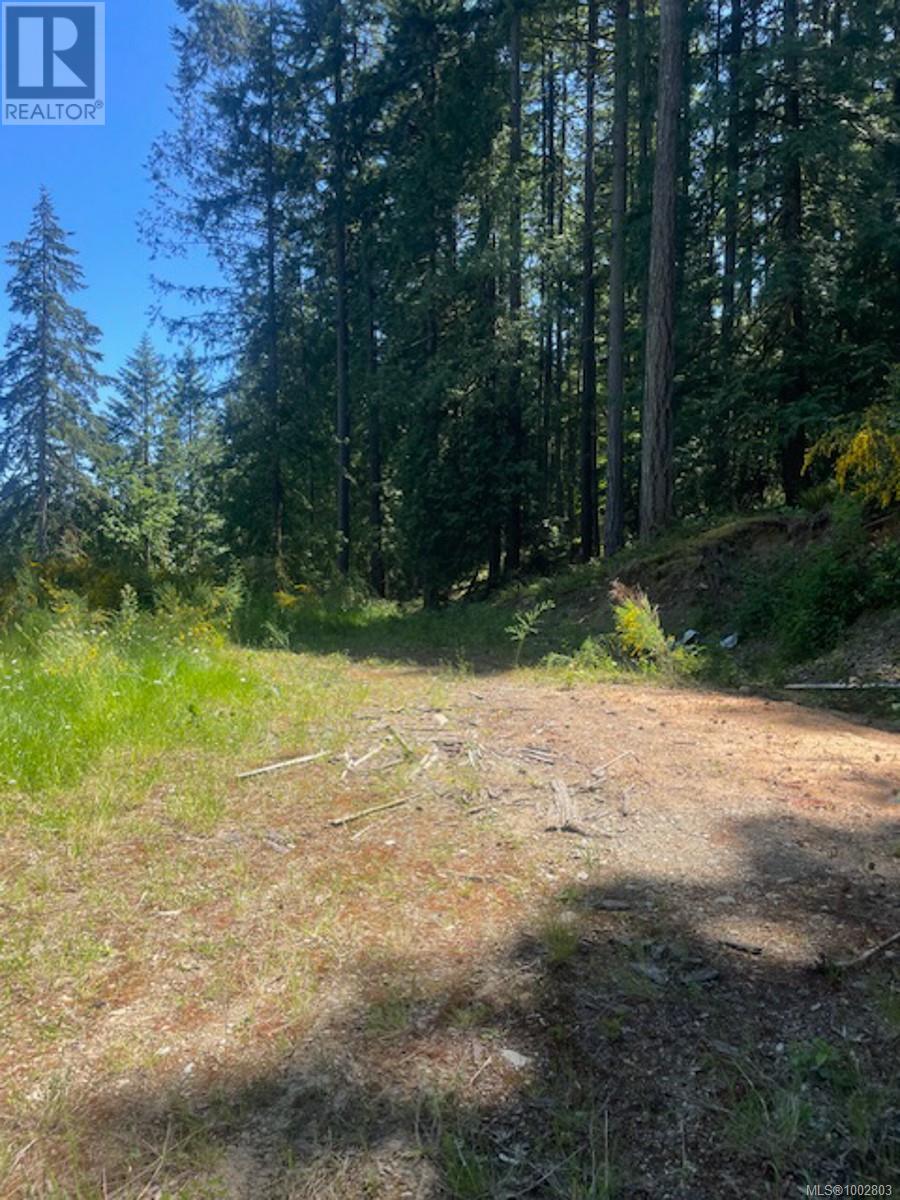 Lot 11 Thain Rd, Cobble Hill, British Columbia  V0R 1L5 - Photo 8 - 1002803