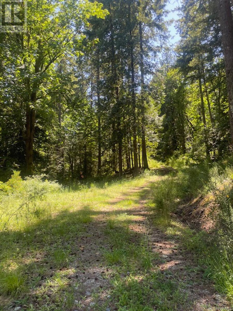 Lot 11 Thain Rd, Cobble Hill, British Columbia  V0R 1L5 - Photo 17 - 1002803