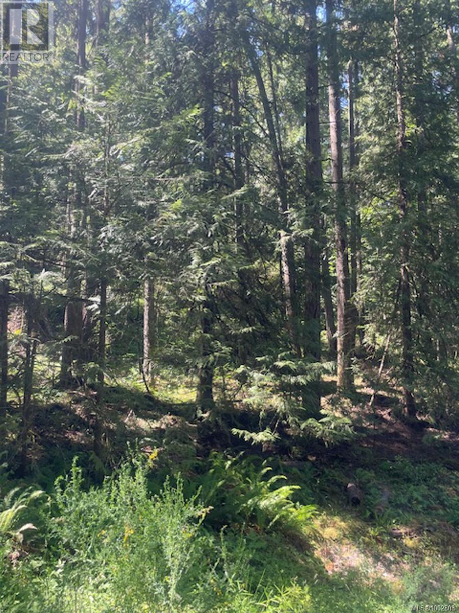 Lot 11 Thain Rd, Cobble Hill, British Columbia  V0R 1L5 - Photo 21 - 1002803