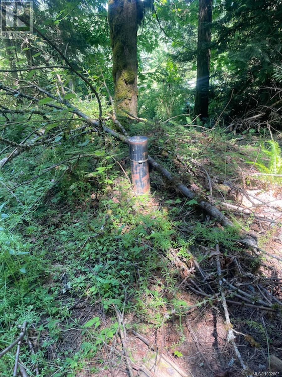 Lot 11 Thain Rd, Cobble Hill, British Columbia  V0R 1L5 - Photo 22 - 1002803