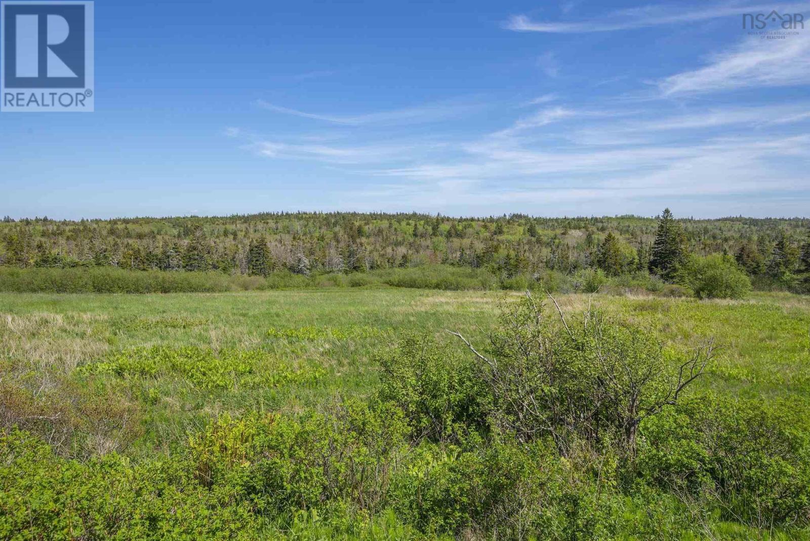 2856 Highway 217, Tiverton, Nova Scotia  B0V 1G0 - Photo 12 - 202514080