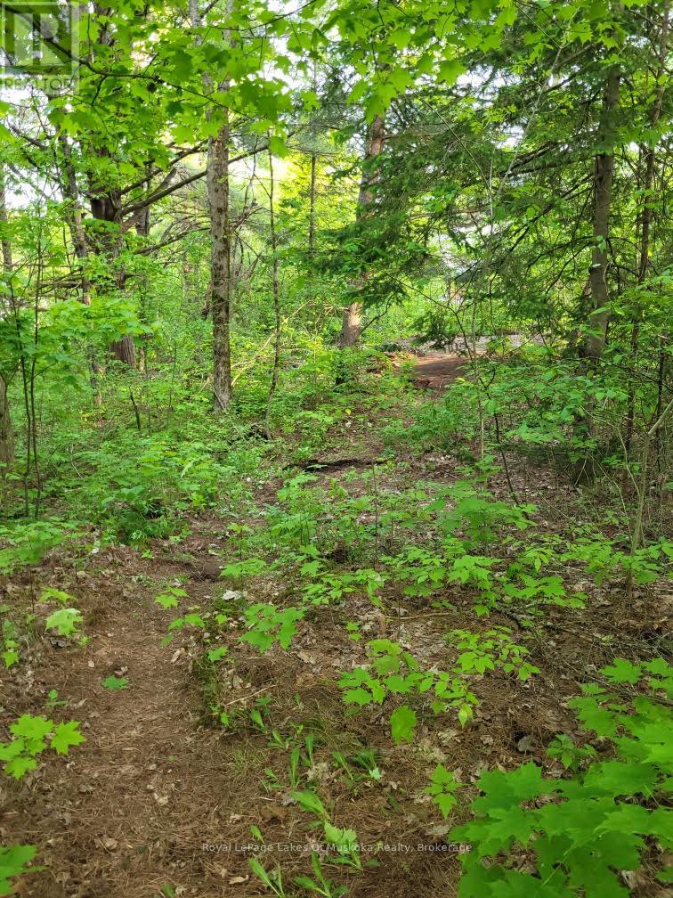 00 Spruce Street, Lake Of Bays, Ontario P0B 1A0 - Photo 4 - X12209459