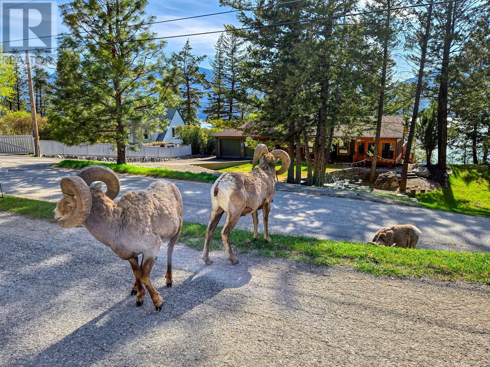 8403 Bighorn Sheep Lane, Canal Flats, British Columbia  V0B 1B0 - Photo 40 - 10348875
