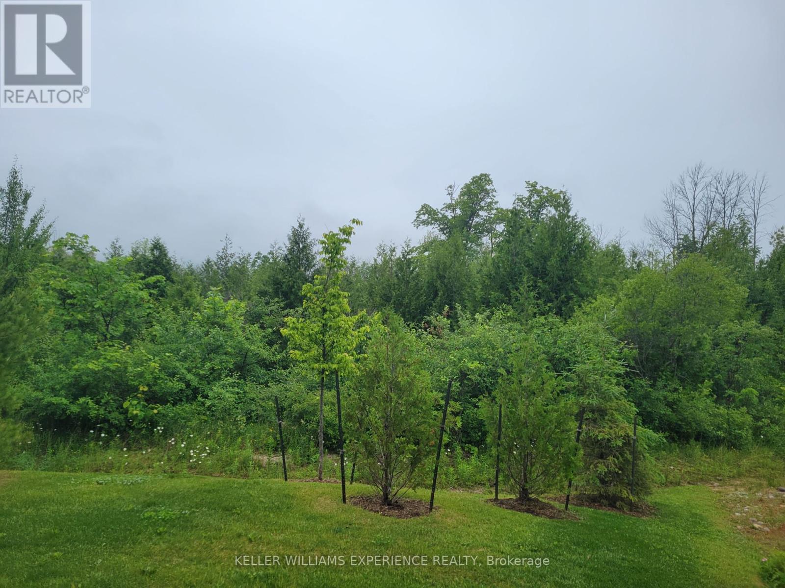 102 - 16 Beckwith Lane, Blue Mountains, Ontario  L9Y 3B6 - Photo 5 - X12209295