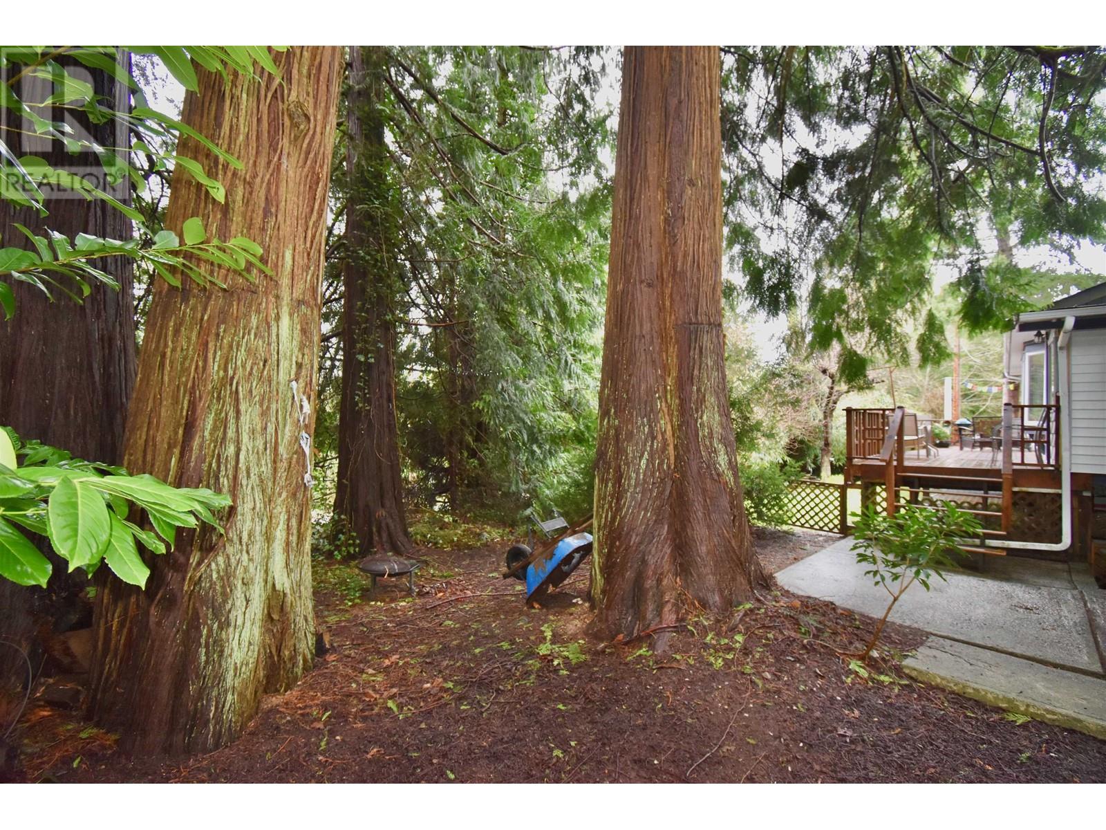 776 Geddes Road, Roberts Creek, British Columbia  V0N 2W6 - Photo 28 - R3013487