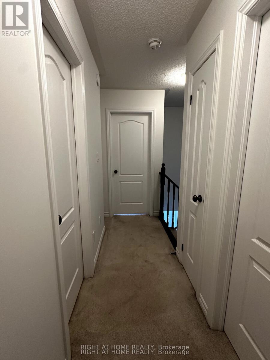 Upper - 11 Telegraph Street, Brampton, Ontario  L6Z 0H9 - Photo 20 - W12168066