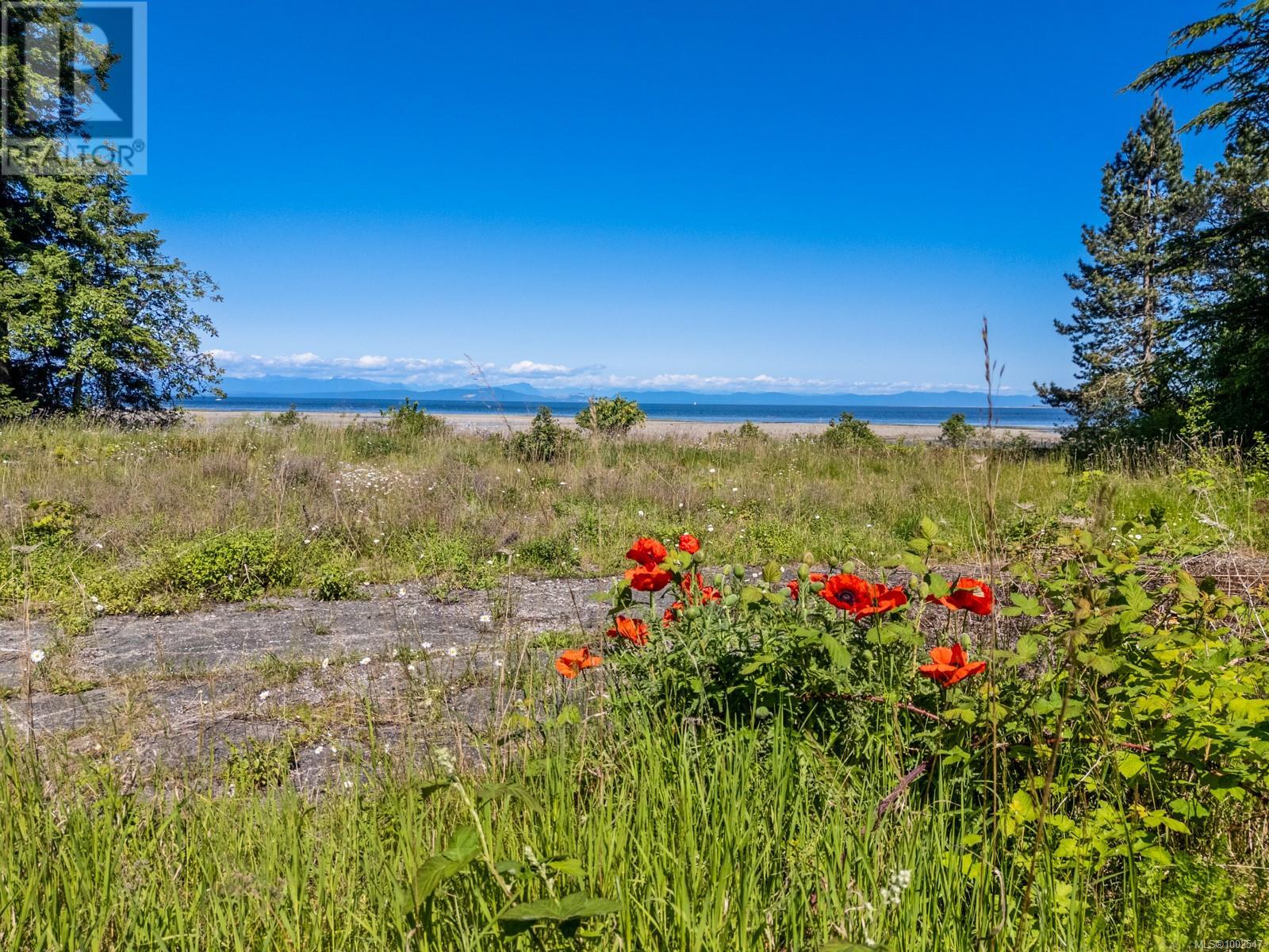 4218 Island Hwy S, Courtenay, British Columbia  V9N 9R8 - Photo 28 - 1002547