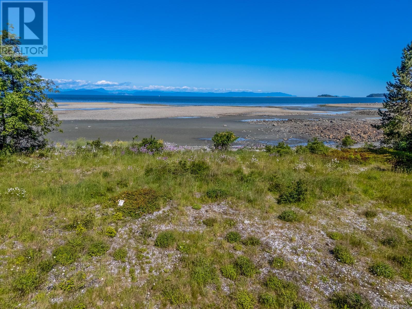 4218 Island Hwy S, Courtenay, British Columbia  V9N 9R8 - Photo 29 - 1002547