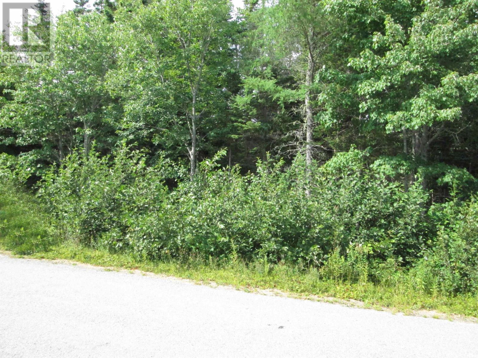 Lot Pid 70066865 St. Catherines River Road, Port Joli, Nova Scotia  B0T 1S0 - Photo 11 - 202513581