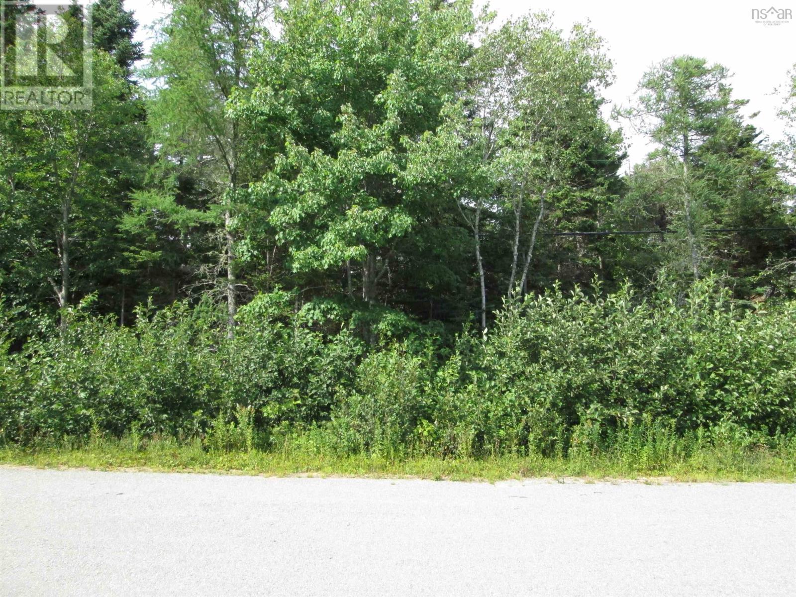 Lot Pid 70066865 St. Catherines River Road, Port Joli, Nova Scotia  B0T 1S0 - Photo 10 - 202513581