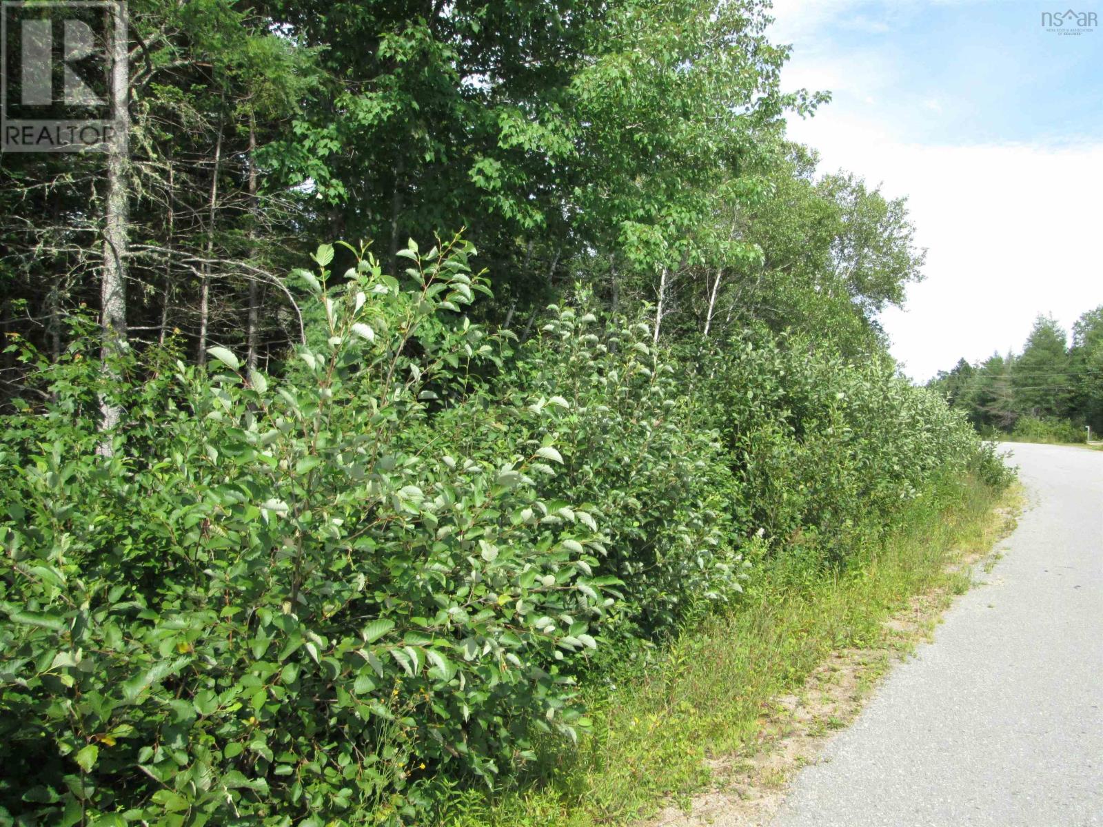 Lot Pid 70066865 St. Catherines River Road, Port Joli, Nova Scotia  B0T 1S0 - Photo 7 - 202513581