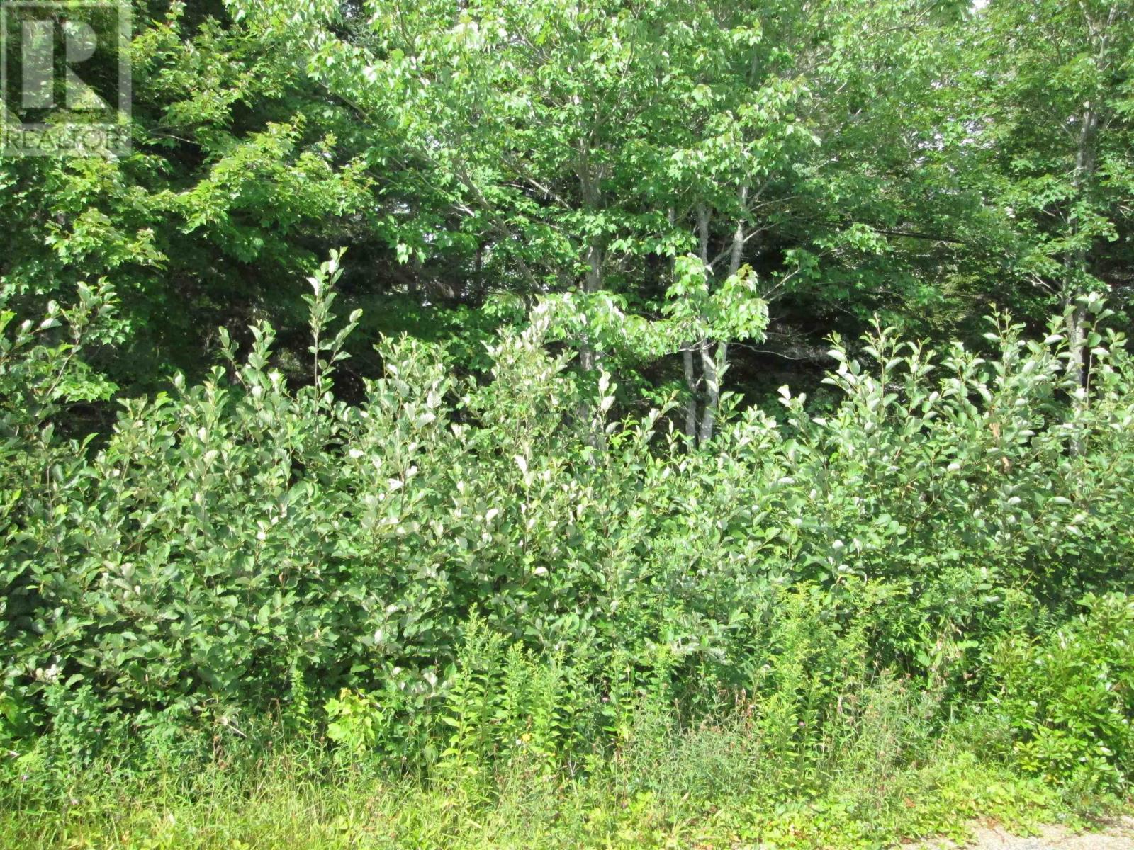 Lot Pid 70066865 St. Catherines River Road, Port Joli, Nova Scotia  B0T 1S0 - Photo 9 - 202513581