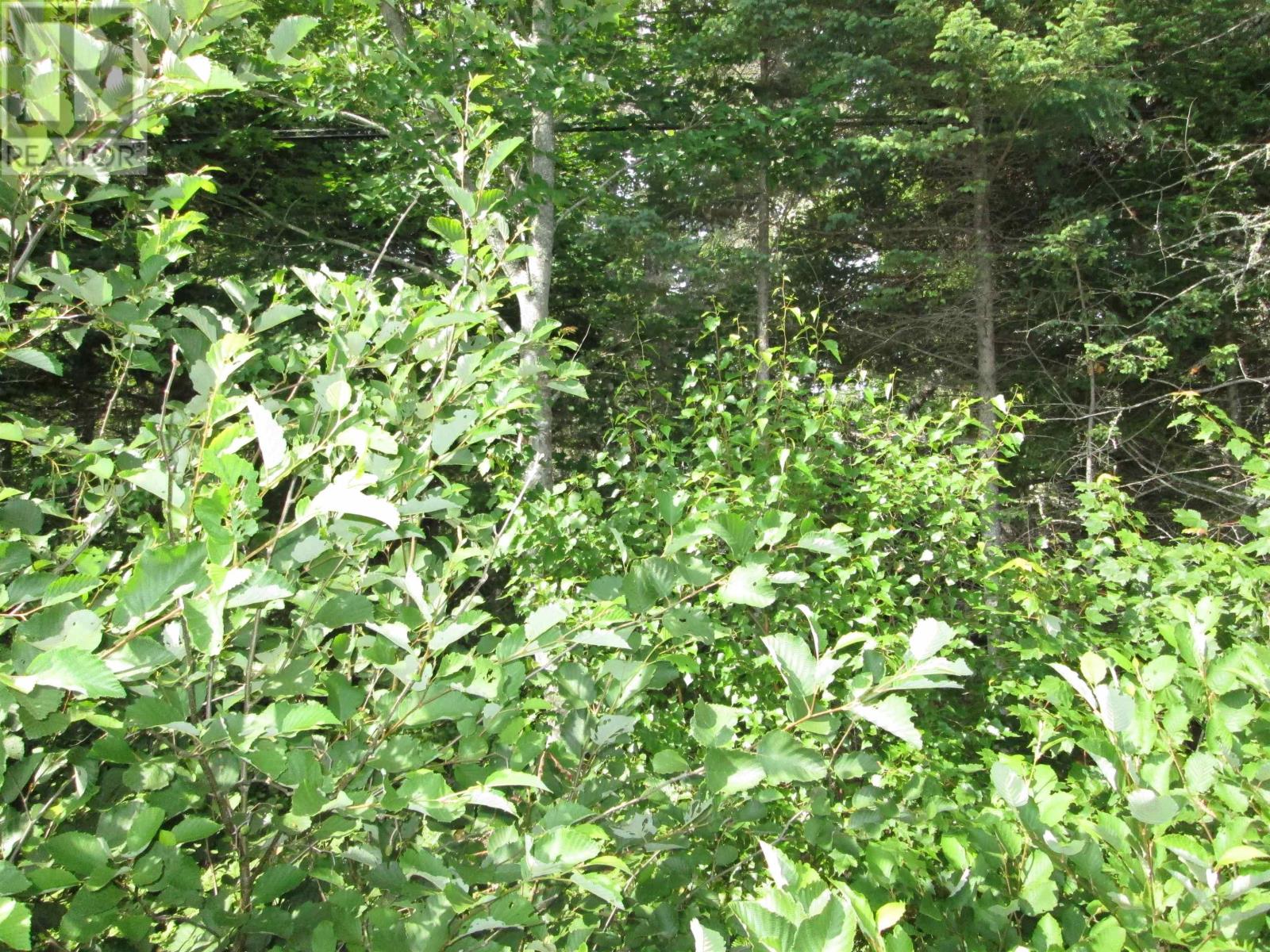 Lot Pid 70066865 St. Catherines River Road, Port Joli, Nova Scotia  B0T 1S0 - Photo 12 - 202513581
