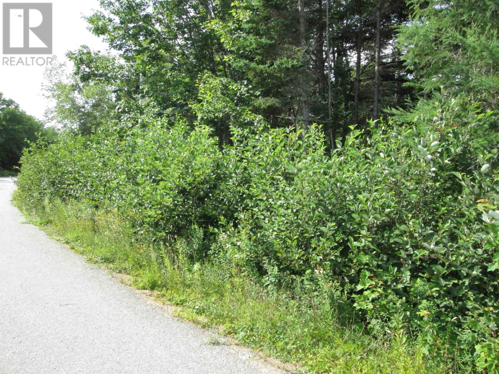 Lot Pid 70066865 St. Catherines River Road, Port Joli, Nova Scotia  B0T 1S0 - Photo 8 - 202513581