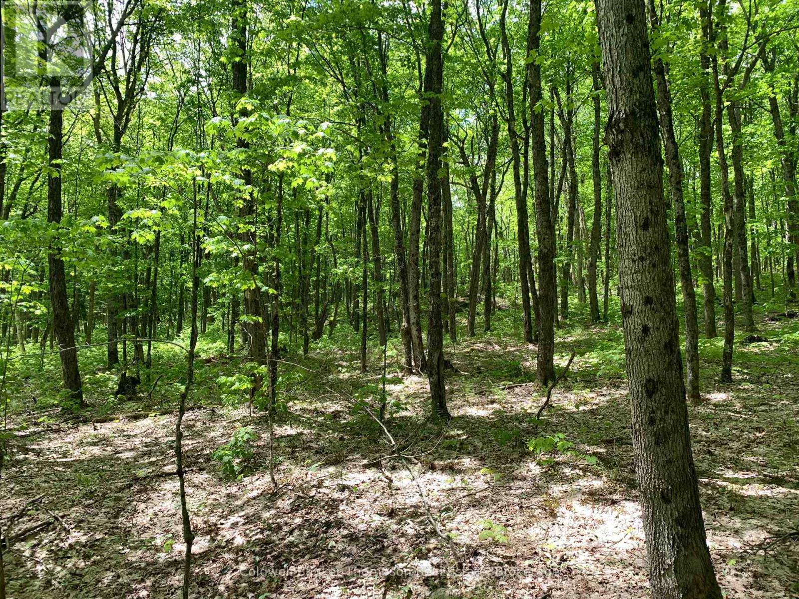 0 Maxwell Lane, Parry Sound Remote Area, Ontario  P0A 1X0 - Photo 6 - X12205748