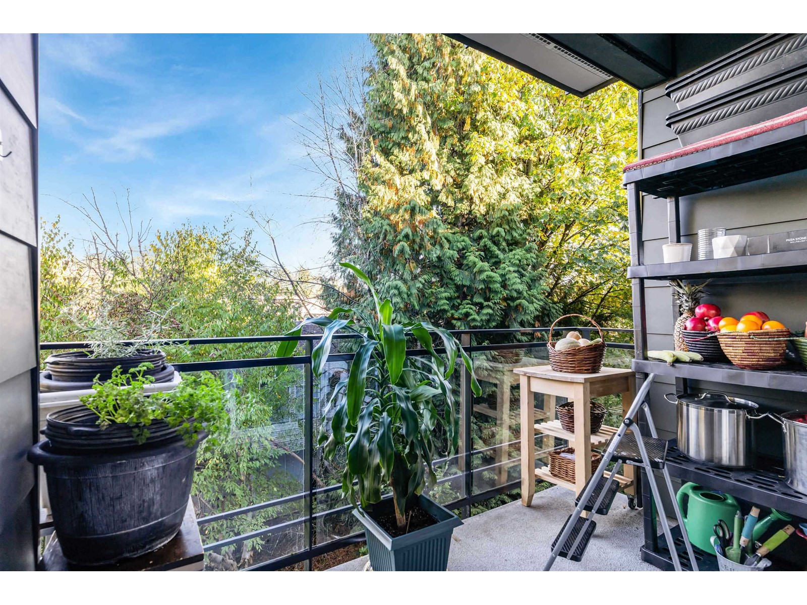 311 13919 Fraser Highway, Surrey, British Columbia  V3W 0X8 - Photo 13 - R3013010