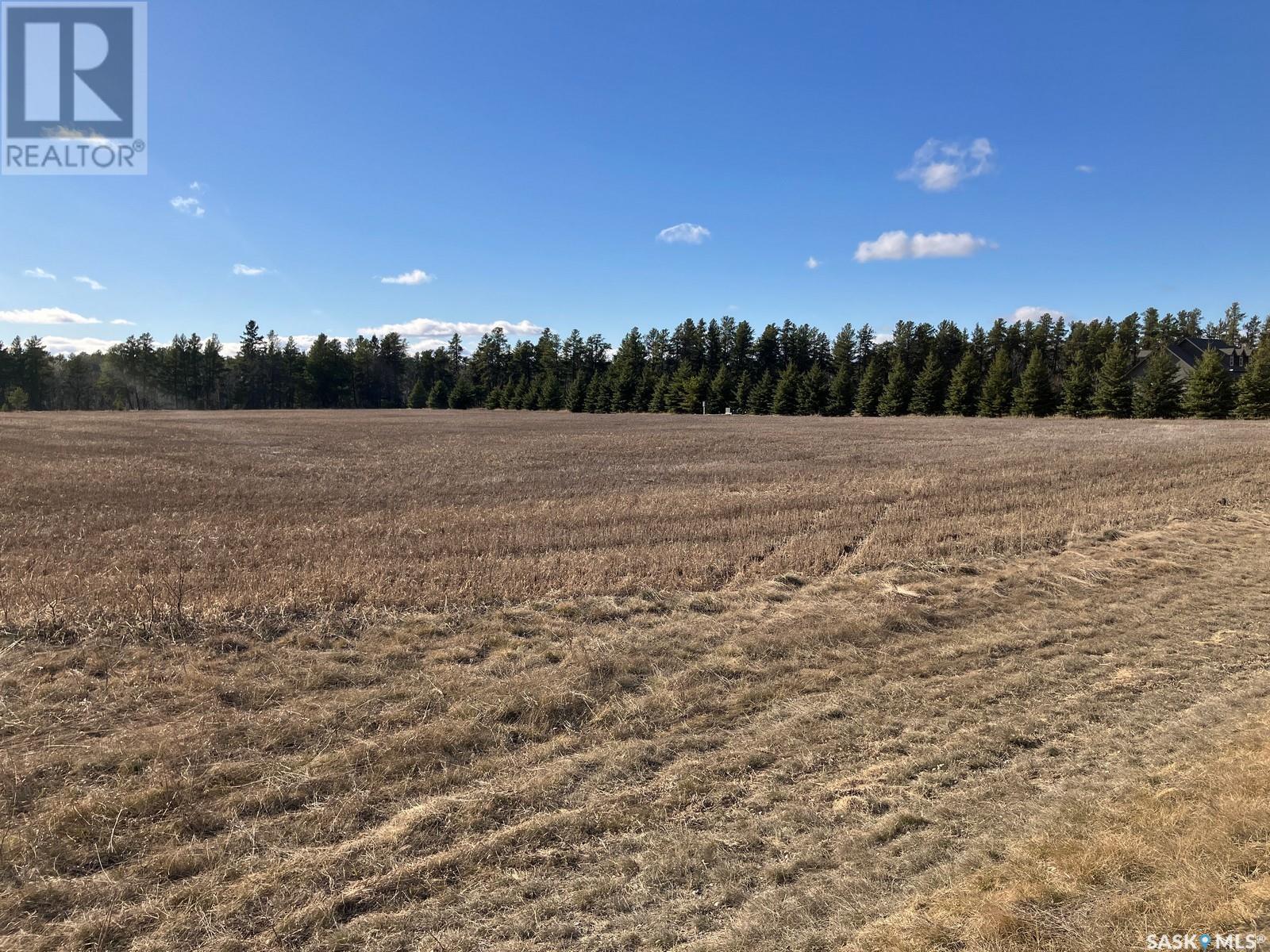 8 Elmers Road, Nipawin Rm No. 487, Saskatchewan  S0E 1E0 - Photo 8 - SK994218