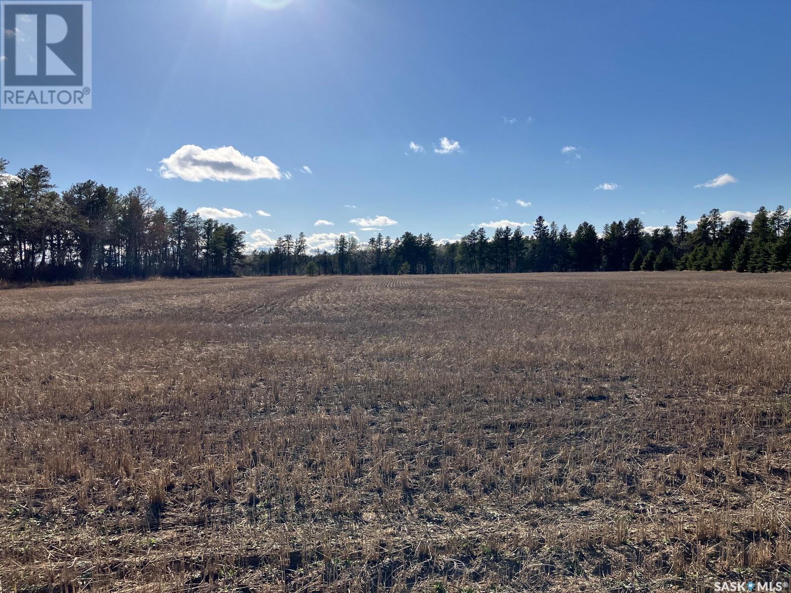 8 Elmers Road, Nipawin Rm No. 487, Saskatchewan  S0E 1E0 - Photo 6 - SK994218