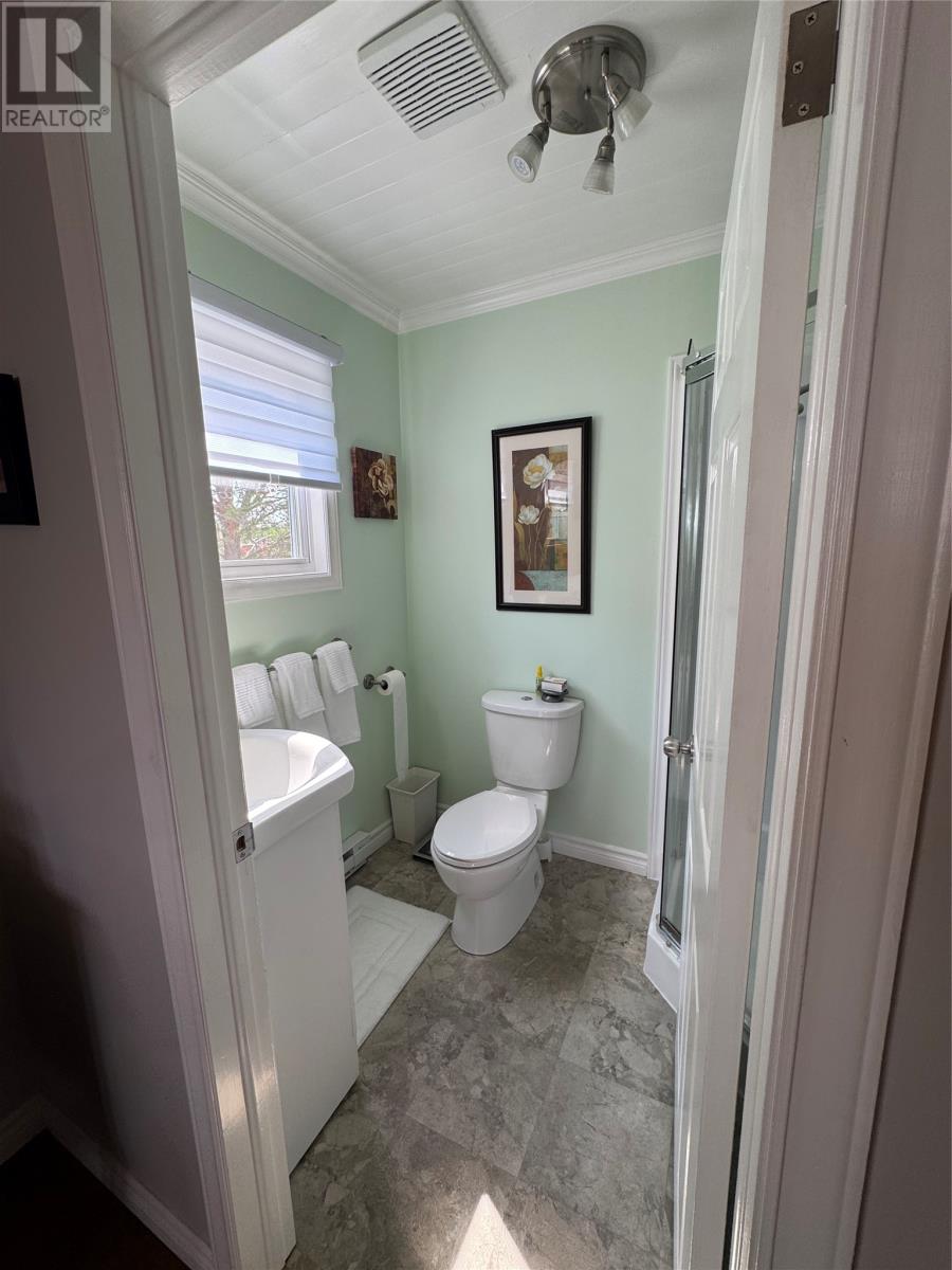3 Joe's Lake, Badger, Newfoundland & Labrador  A0H 1C0 - Photo 20 - 1286242