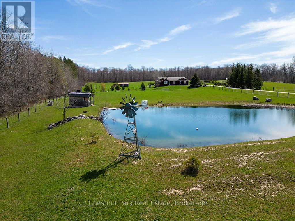 596481 Concession 10, Chatsworth, Ontario  N0H 1R0 - Photo 4 - X12209793