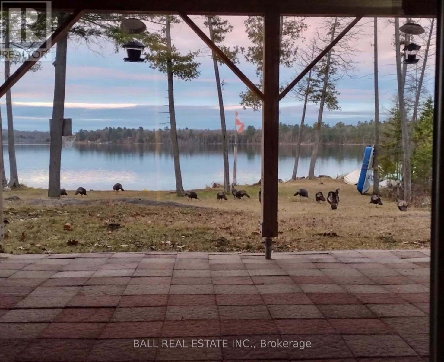 154 Julian Lake Road, North Kawartha, Ontario  K0L 3E0 - Photo 36 - X11982123