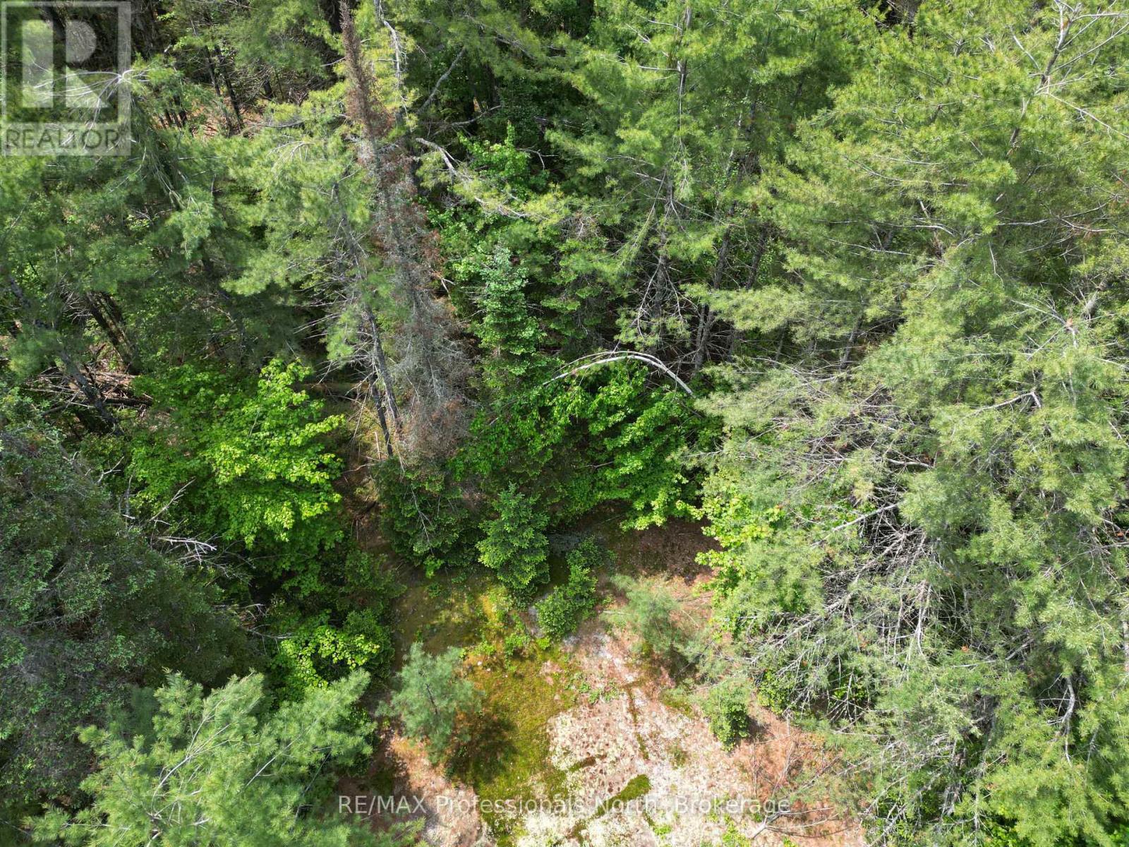 Lt 15 Concession A Gelert Road, Minden Hills, Ontario  K0M 2K0 - Photo 3 - X12207528