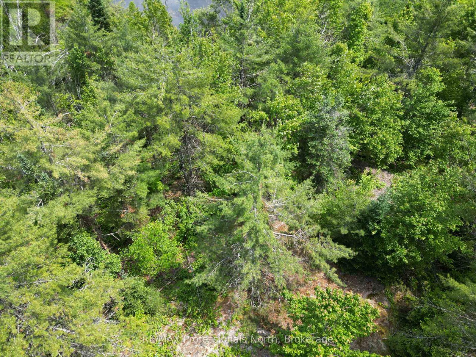 Lt 15 Concession A Gelert Road, Minden Hills, Ontario  K0M 2K0 - Photo 4 - X12207528