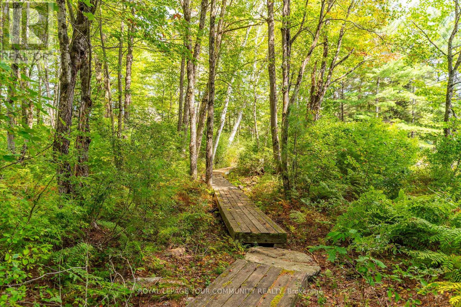 1031 Obelisk Trail, Minden Hills, Ontario  K0M 2A0 - Photo 14 - X12180950