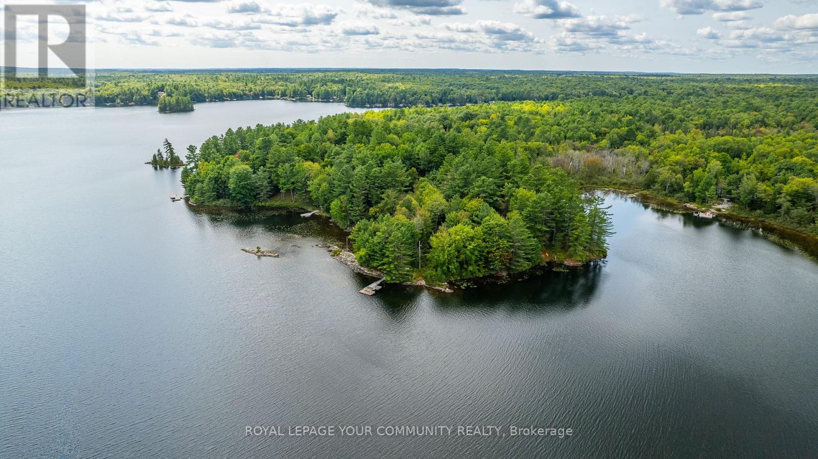 1031 Obelisk Trail, Minden Hills, Ontario  K0M 2A0 - Photo 35 - X12180950