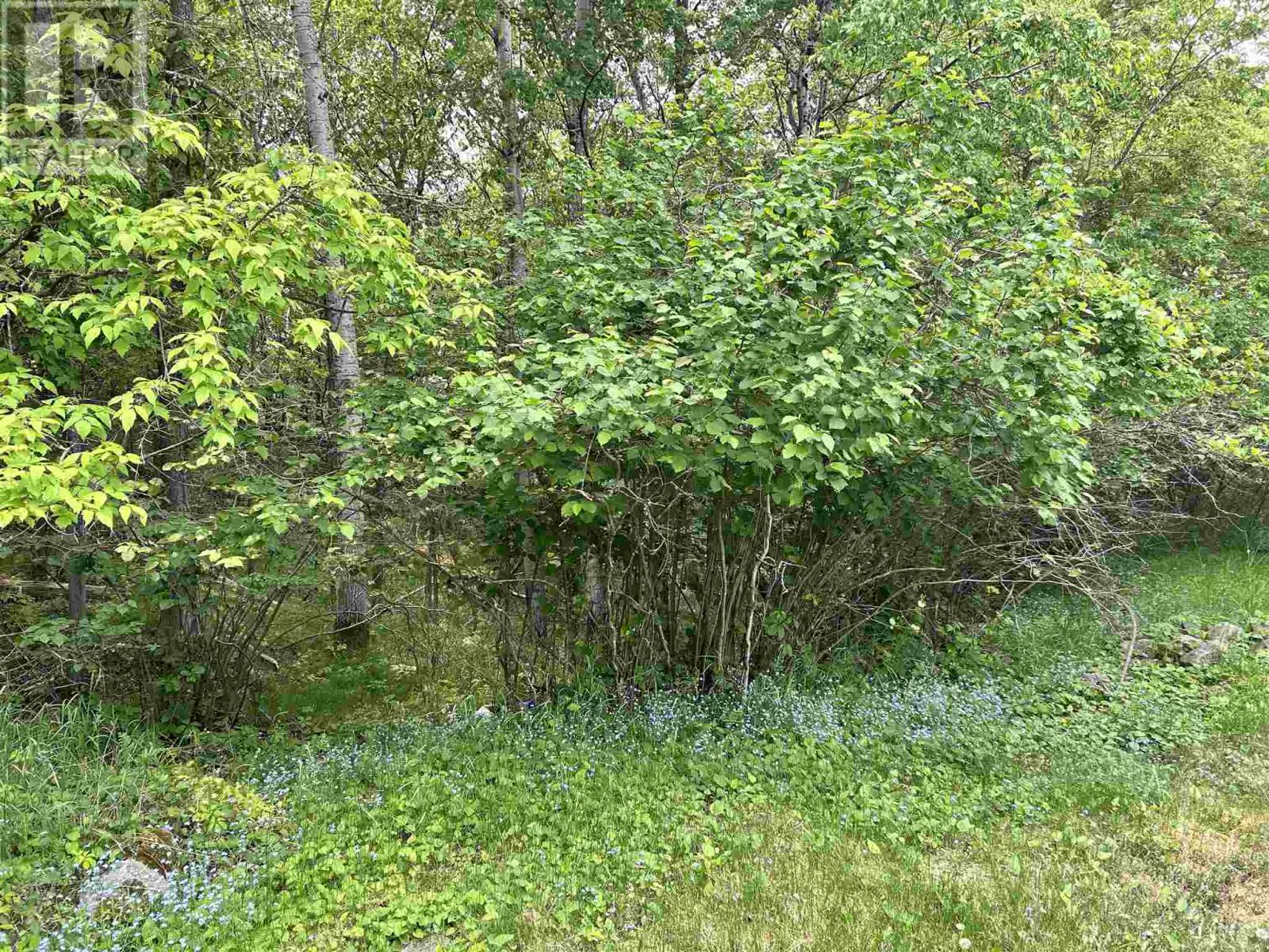 0 Portage St, Kenora, Ontario  P0X 1C0 - Photo 10 - TB250032