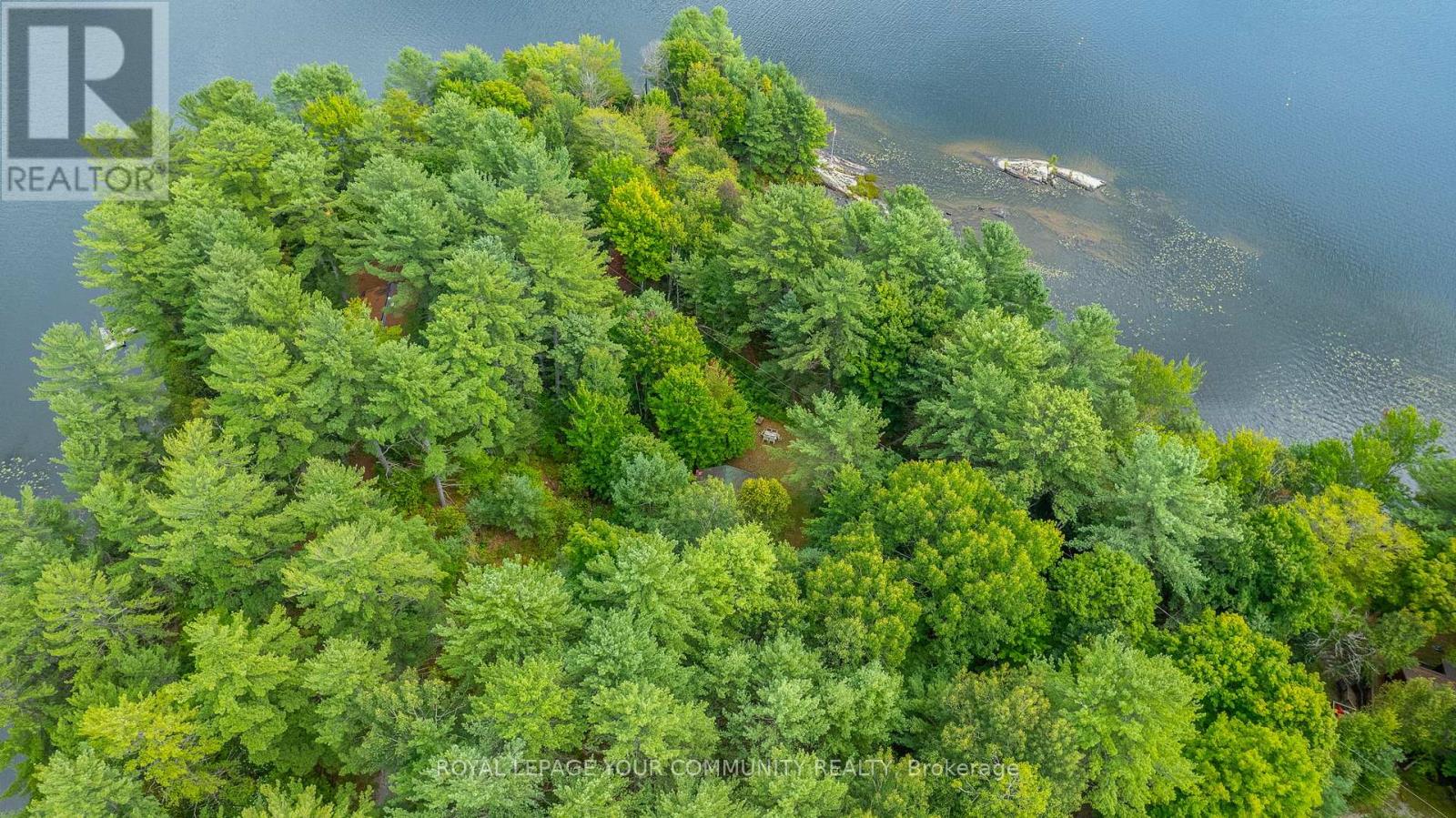 1031 Obelisk Trail, Minden Hills, Ontario  K0M 2A0 - Photo 33 - X12180950