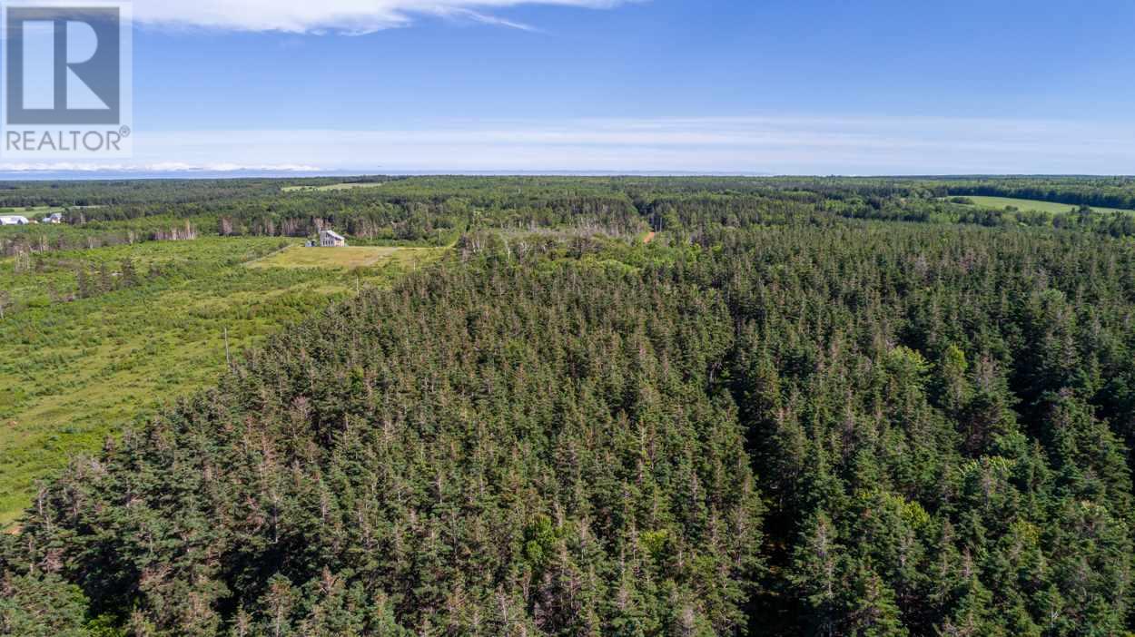 1 Willow Lane, Priest Pond, Prince Edward Island  C0A 2B0 - Photo 12 - 202514119