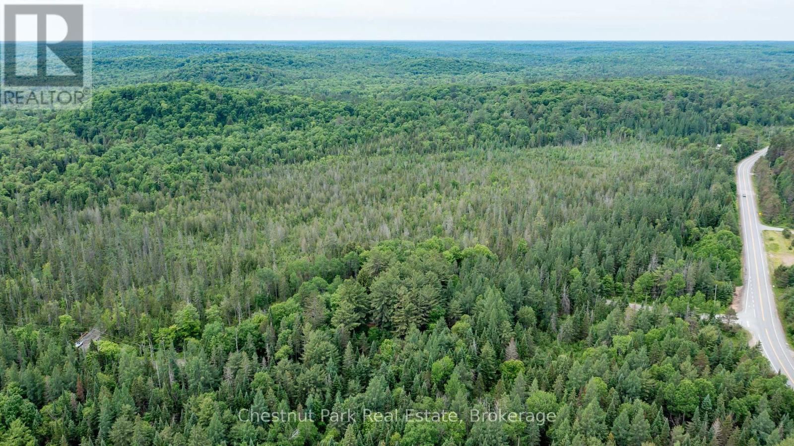 1022 Thompson Road, Bracebridge, Ontario  P1L 1X1 - Photo 8 - X12210173