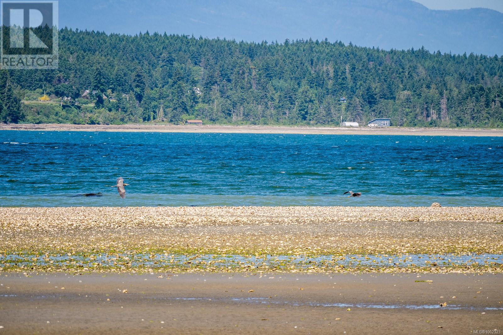 3845 Shingle Spit Rd, Hornby Island, British Columbia  V0R 1Z0 - Photo 3 - 1002323