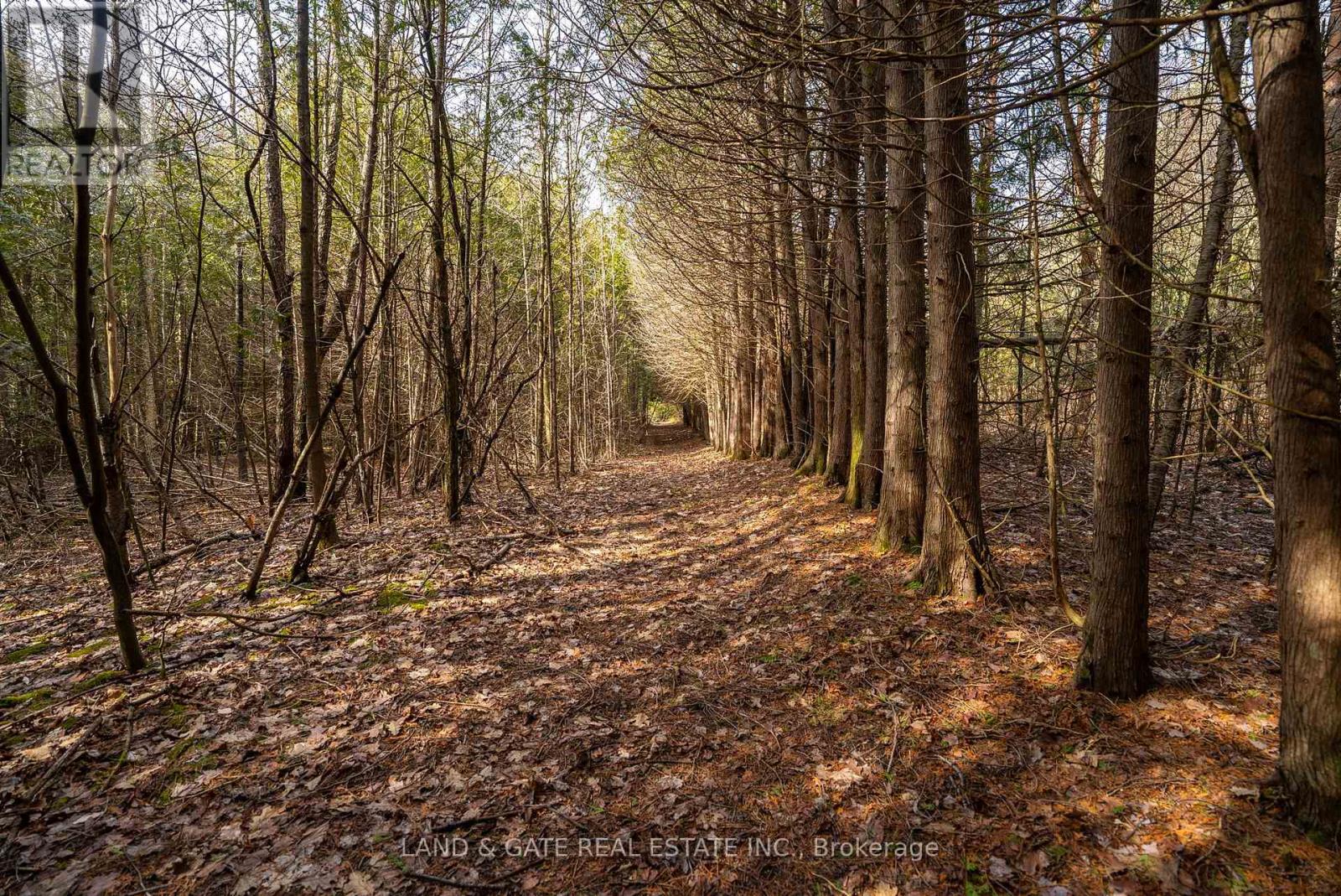 9015 Mosport Road, Clarington, Ontario  L0B 1M0 - Photo 5 - E12091001