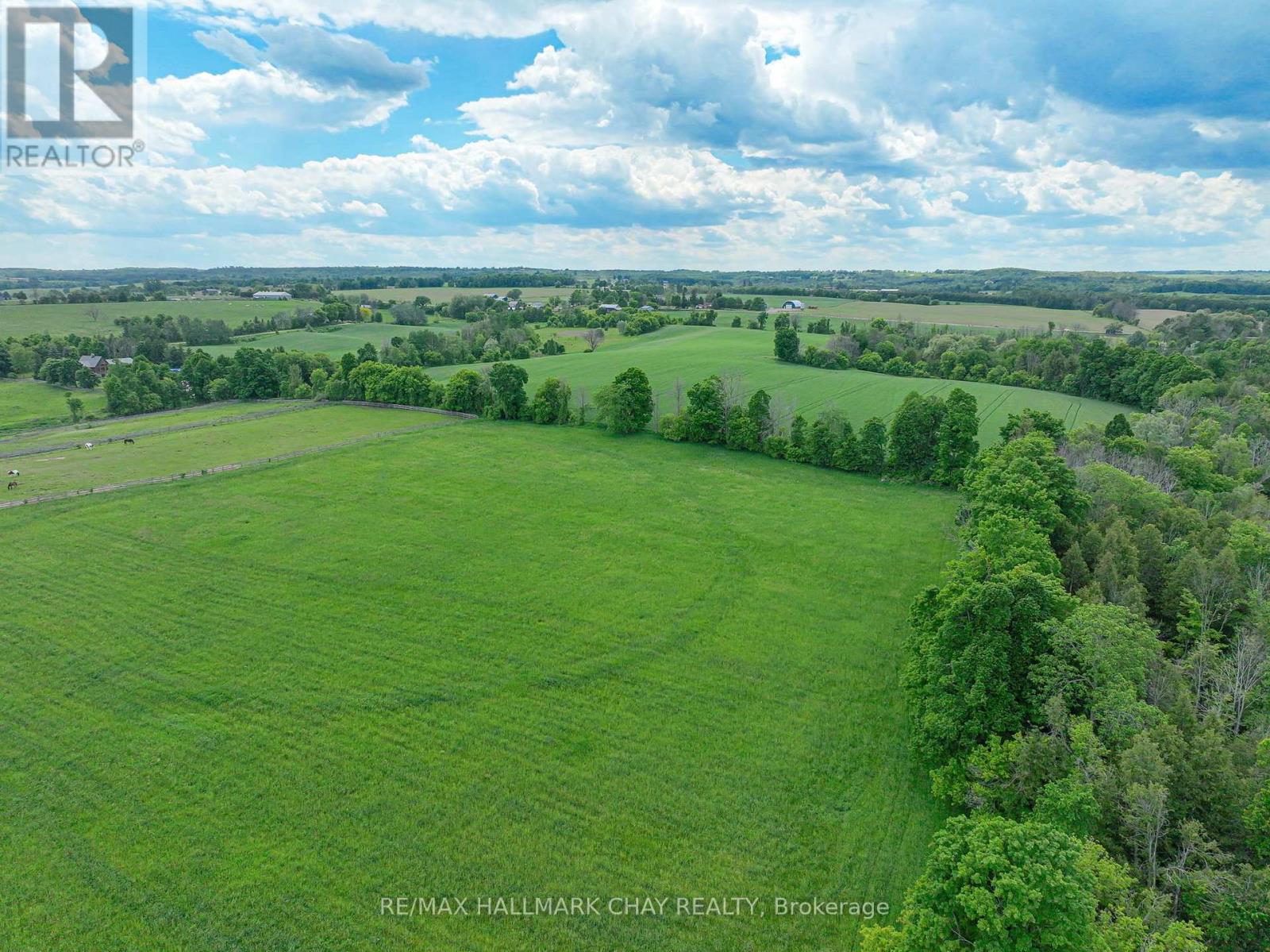 528375 5th Side Road, Mulmur, Ontario  L9V 0R6 - Photo 16 - X11960440