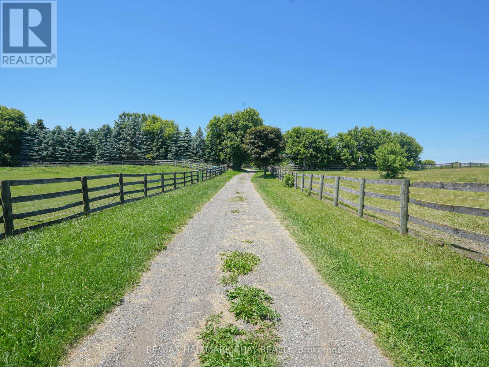 528375 5th Side Road, Mulmur, Ontario  L9V 0R6 - Photo 18 - X11960444