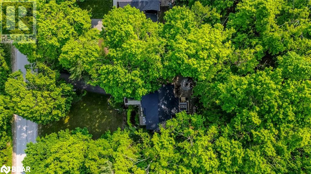 3 Sugarbush Rd, Oro-Medonte, Ontario  L0K 1E0 - Photo 34 - 40737881