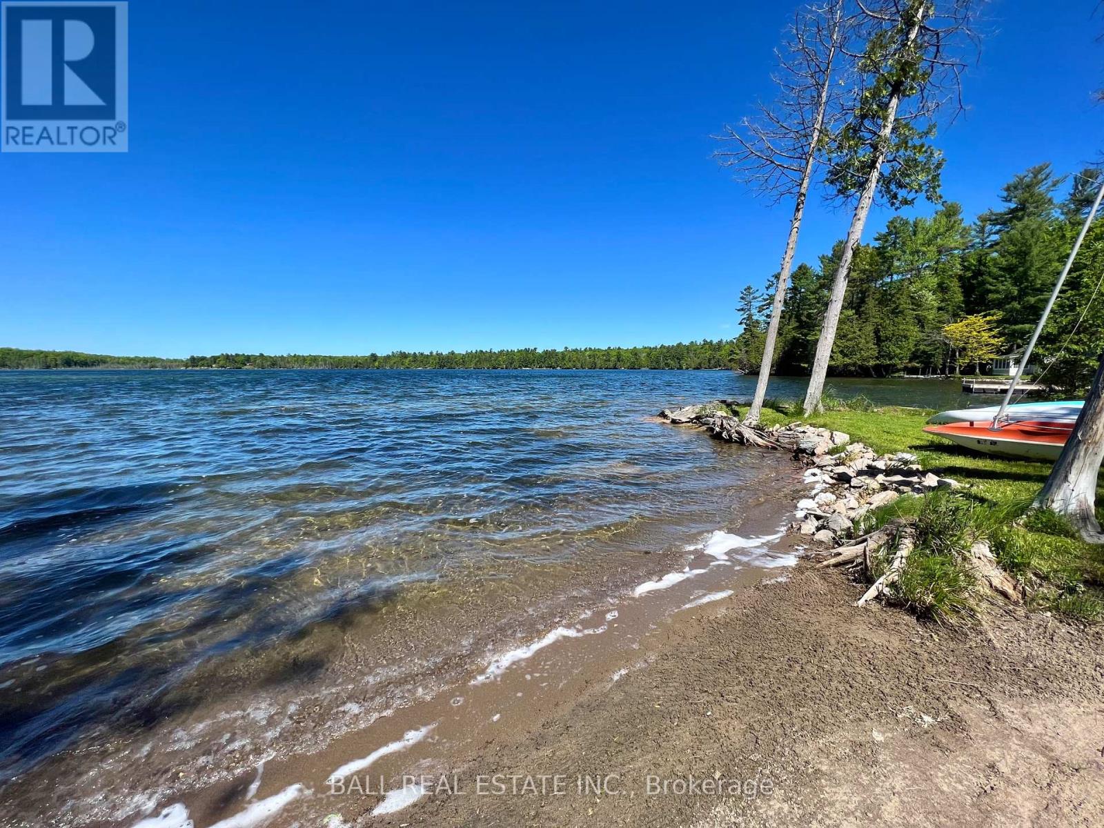 154 Julian Lake Road, North Kawartha, Ontario  K0L 3E0 - Photo 6 - X11982123