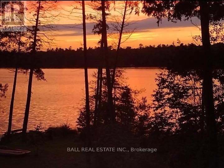 154 Julian Lake Road, North Kawartha, Ontario  K0L 3E0 - Photo 37 - X11982123